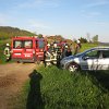IMG_4446