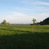 IMG_4474