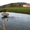 IMG_4488