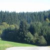 IMG_5137