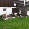 IMG_6017