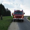 IMG_6338