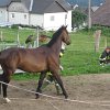 IMG_6351