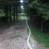 IMG_6585