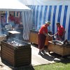 IMG_0206
