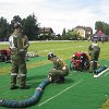 IMG_6875