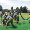 IMG_6884