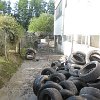 IMG_6799