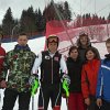 Hirscher