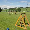 DSC02949