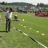 DSC02950