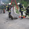 IMG_7054