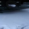 20141229_095146