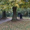 DSC03441