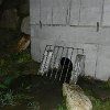 DSCN0083
