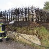 IMG_0618
