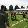 IMG_1524