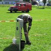 IMG_1526