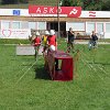 IMG_1538