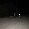 IMG_1722