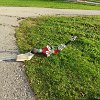 IMG_1751