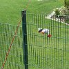 IMG_1326