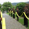 IMG_1353