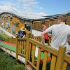 IMG_1137