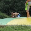 IMG_1185