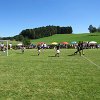 IMG_1625