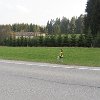 IMG_0650
