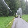 IMG_1253