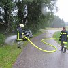 IMG_1254
