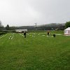 IMG_0745