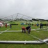 IMG_0758