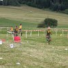 IMG_3986