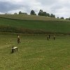 IMG-20170702-WA0062