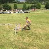 IMG-20170702-WA0065