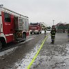 IMG_2600