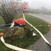 IMG-20171121-WA0008