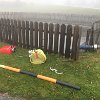 IMG-20171121-WA0018