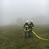 IMG-20171121-WA0021