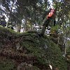 IMG-20171001-WA0004
