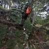 IMG-20171001-WA0008