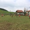 IMG-20170408-WA0015
