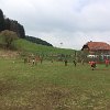 IMG-20170408-WA0019