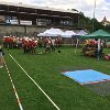 IMG-20180616-WA0019