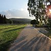 IMG_3130