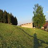 IMG_3136