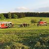 IMG_3139